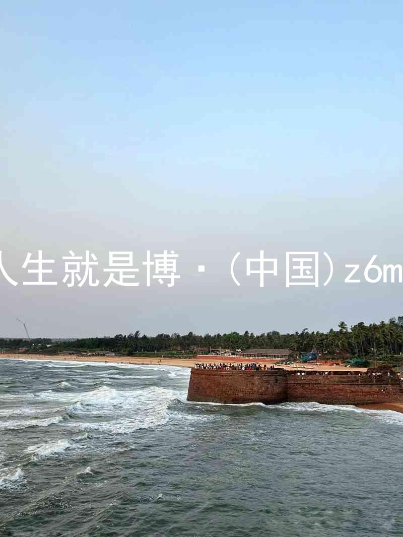 人生就是博·(中国)z6mg